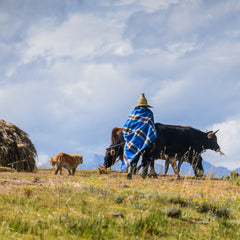 Mataliana - Bound | Old Royal / Tobacco