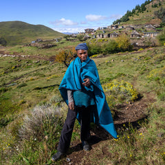 Big Brand - Bias Bound | Kingfisher