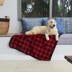 Finesse Pet Blanket - Gingham Prints | Black/Cherry
