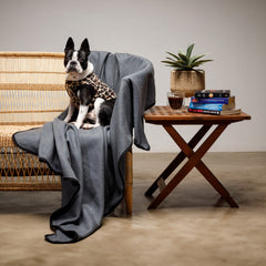 Big Brand - Bias Bound | Steel