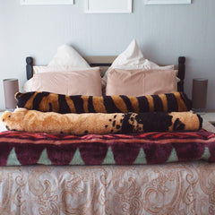 Buhle - Zebra Skin | Black/Caramel