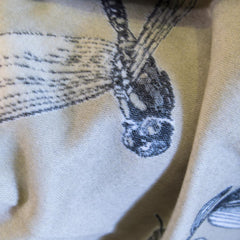 Bella Vita - Entomology | Cobblestone/Black