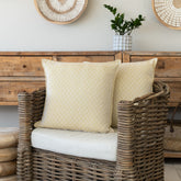 Scatters - Protea Empire | Nugget/Gold