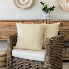 Scatters - Protea Empire | Nugget/Gold