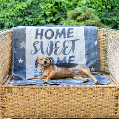 Finesse Pet Blanket - A Dog's Life | Steel/Silver