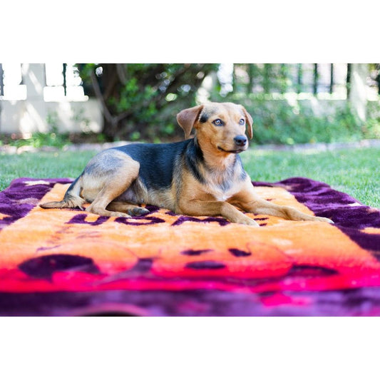 Finesse Pet Blanket - A Dog's Life | Claret/Amber