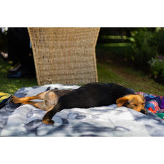 Finesse Pet Blanket - A Dog's Life | Steel/Silver